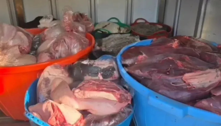 طنجة.. ضبط أزيد من 450 كلغ من اللحوم غير الصالحة للاستهلاك بحومة الشوك