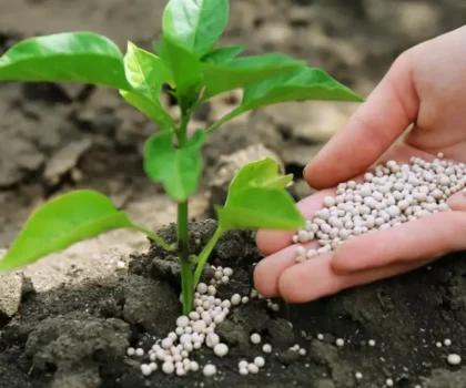 الفوسفاط المغربي.. ثروة استراتيجية تعزز موقع المملكة في الأسواق العالمية