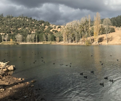 اليوم العالمي للأحياء البرية: المغرب يبرز غناه البيولوجي ويواجه ضغوطا متزايدة على تراثه الطبيعي