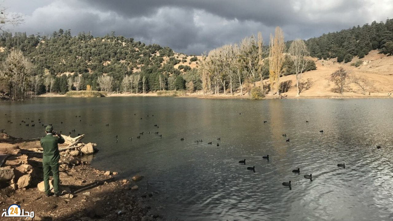 اليوم العالمي للأحياء البرية: المغرب يبرز غناه البيولوجي ويواجه ضغوطا متزايدة على تراثه الطبيعي