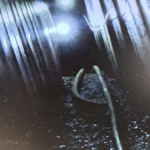 أعلنت الشرطة الإسبانية عن اكتشاف نفق تحت أرضي