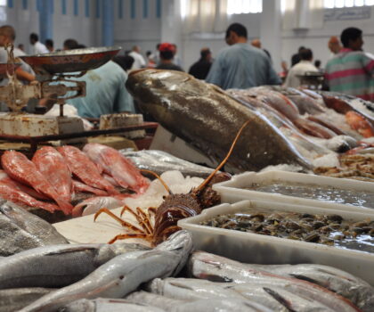 شروط و إجراءات صارمة..الحكومة تصادق على مشروع بيع السمك بالجملة
