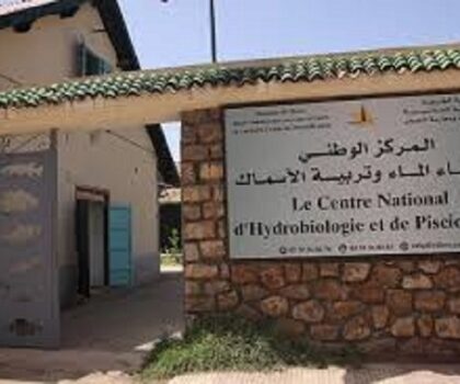 إطلاق صغار أسماك الكراكي بوادي إفران إيذانا بافتتاح موسم الصيد في المياه البرية