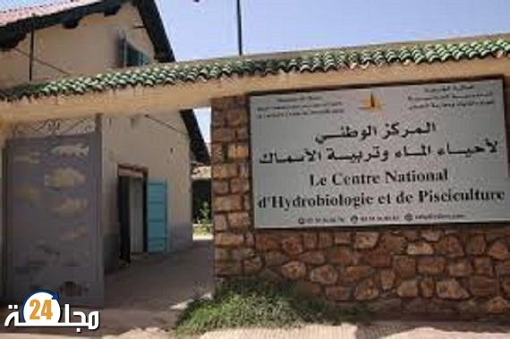 إطلاق صغار أسماك الكراكي بوادي إفران إيذانا بافتتاح موسم الصيد في المياه البرية