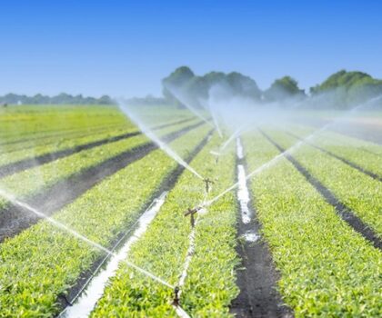 الحكومة: الأمطار الأخيرة تنعش حقينة السدود وتعيد الزخم للإنتاج الفلاحي وفرص الشغل