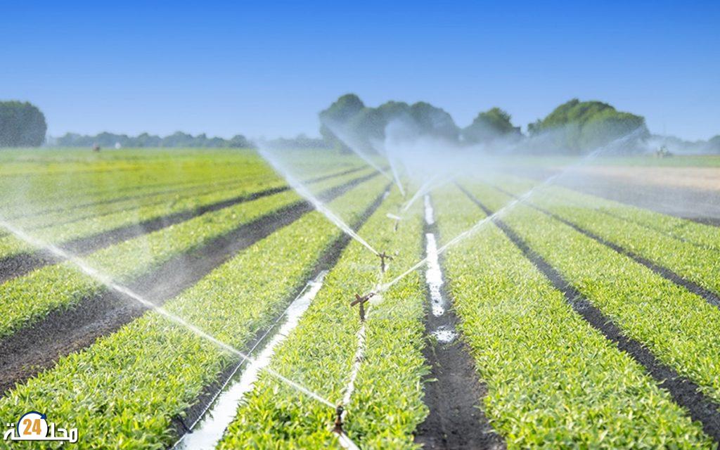 الحكومة: الأمطار الأخيرة تنعش حقينة السدود وتعيد الزخم للإنتاج الفلاحي وفرص الشغل