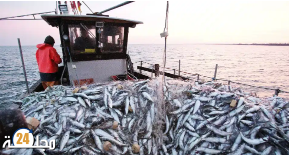 توجه لإغلاق مصيدة السردين بسواحل أكادير شهرا كاملا لحماية المخزون السمكي