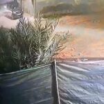 أكادير: فتح تحقيق قضائي بشأن ترويج منشور حول اختطاف الأطفال