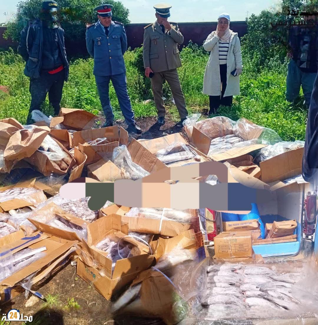 لجنة المراقبة بسيدي إسماعيل تحجز 380 كيلوغراما من السمك غير الصالح للاستهلاك بإقليم الجديدة