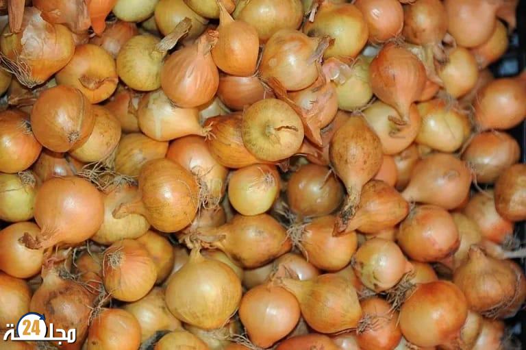 البصل الإسباني يغزو الأسواق المغربية بين انخفاض الأسعار وتساؤلات الجودة