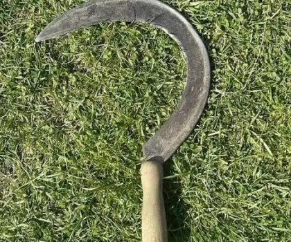 30 سنة سجناً نافذاً لفلاح بتازة بعد جريمة قتل بسبب “الزعتر”