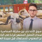 سوق الأضاحي بين مطرقة السماسرة وسندان التضليل الممنهج قراءة في آليات الذبح المعنوي للمستهلك قبل صبيحة العيد