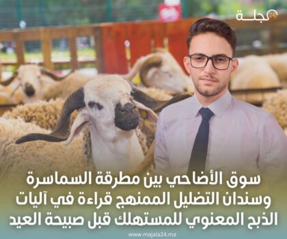 سوق الأضاحي بين مطرقة السماسرة وسندان التضليل الممنهج قراءة في آليات الذبح المعنوي للمستهلك قبل صبيحة العيد