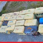 توقيف شخصين يبلغان من العمر 39 و46 سنة ، وذلك للاشتباه في تورطهما في حيازة وترويج المخدرات والمؤثرات العقلية.