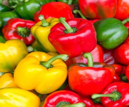 أسعار الفلفل تواصل الإرتفاع