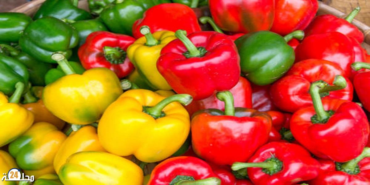أسعار الفلفل تواصل الإرتفاع
