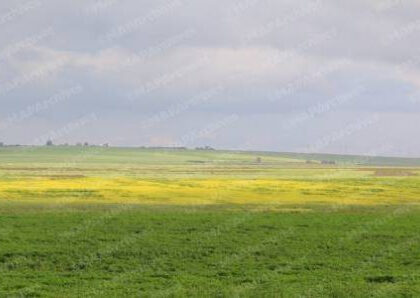 توقعات طقس الجمعة: أجواء باردة نسبيا وأمطار وثلوج ورياح قوية بعدد من مناطق المملكة