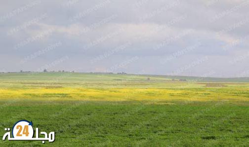 توقعات طقس الجمعة: أجواء باردة نسبيا وأمطار وثلوج ورياح قوية بعدد من مناطق المملكة