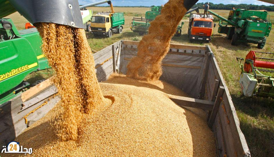 المغرب يتجه لتعليق استيراد القمح اللين مؤقتا بفضل التوقعات الإيجابية للمحصول الوطني