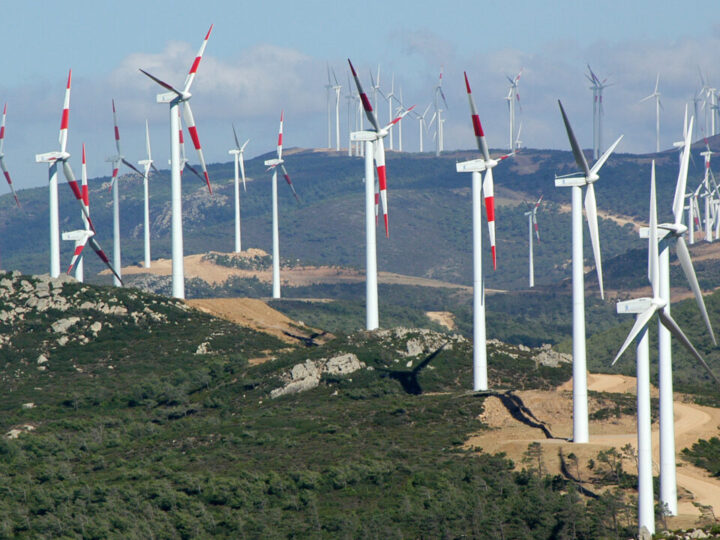 مشاريع طاقة الرياح بطنجة تعزز ريادة المغرب القارية وتدعم التحول الصناعي النظيف