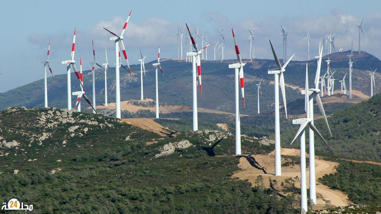 مشاريع طاقة الرياح بطنجة تعزز ريادة المغرب القارية وتدعم التحول الصناعي النظيف