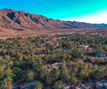 صرخة من زاكورة : “موت الواحات” يلوح في الأفق وسط إتهامات بتبديد الماء و خنق الحياة