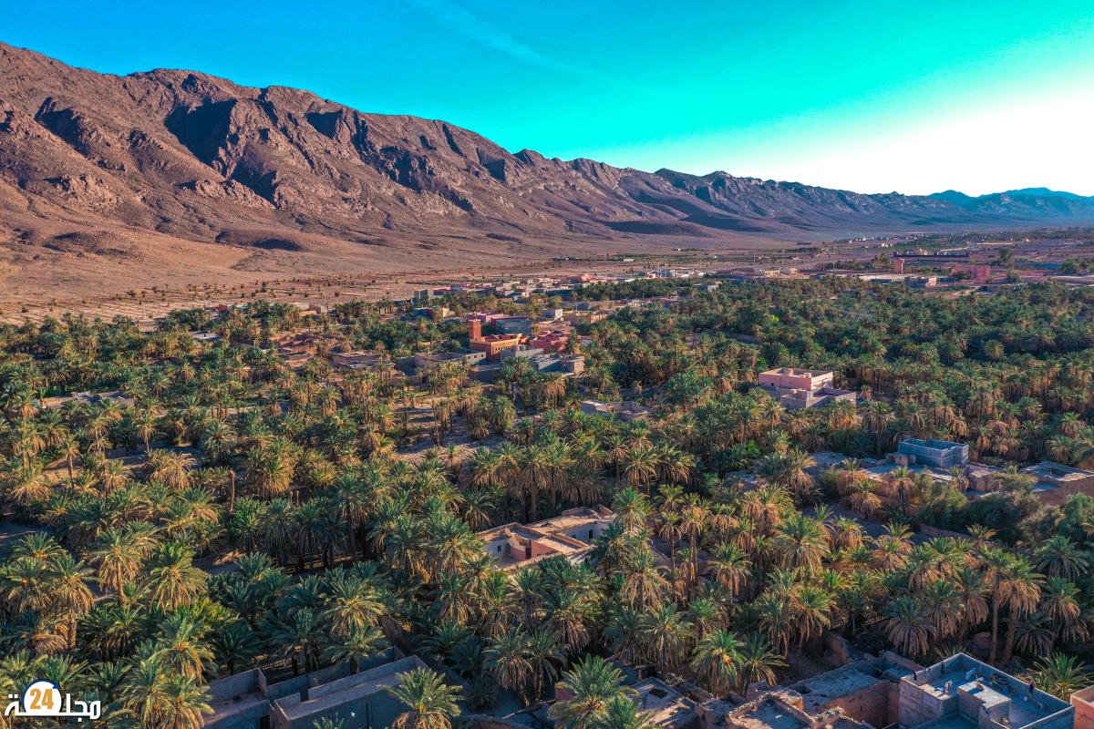 صرخة من زاكورة : “موت الواحات” يلوح في الأفق وسط إتهامات بتبديد الماء و خنق الحياة