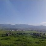 خلاف على أرض يتحول إلى مجزرة عائلية بتازة : قتيل و جريح و الجاني ينهي حياته