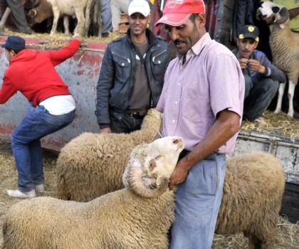 الحكومة تضيق الخناق على الشناقة قبل عيد الأضحى وقانون جديد لإنهاء فوضى الأسواق