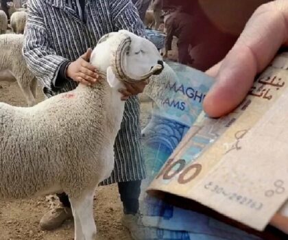 عاجل يوم العيد