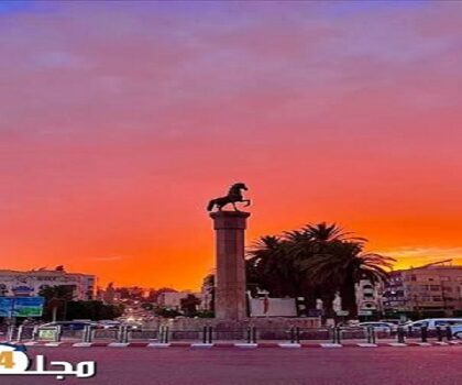 مؤسسة “البيئة والتنمية المستدامة” بسطات.. دورة مؤجلة ومجلس يختنق بدخان الصراعات