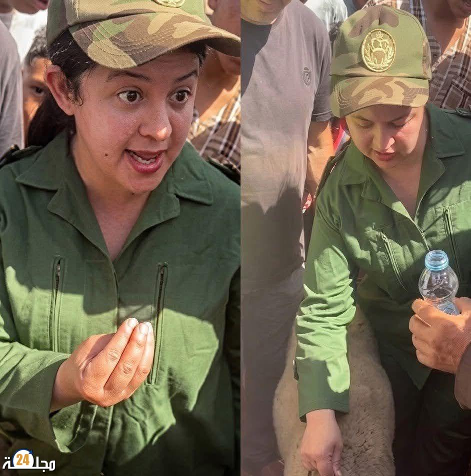 جدل واسع بعد فيديو “القائدة والكسّاب” بسوق سيدي بنور.. ونقاش حول حدود تدخل السلطة في أسعار المواشي
