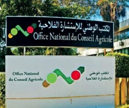 المديرية الجهوية للاستشارة الفلاحية بدرعة تافيلالت تعزز حضورها في المعرض الدولي للورد العطري بقلعة مكونة