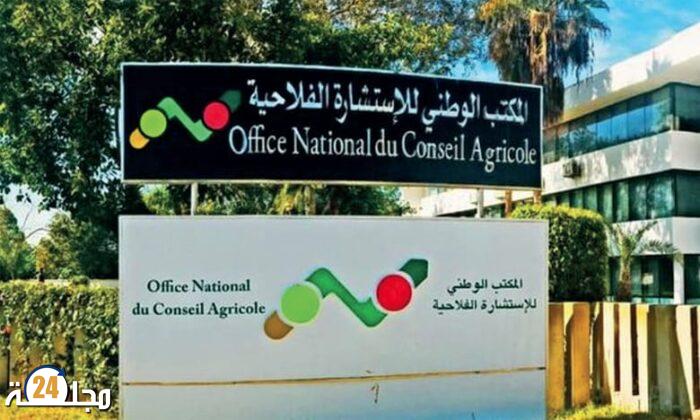 المديرية الجهوية للاستشارة الفلاحية بدرعة تافيلالت تعزز حضورها في المعرض الدولي للورد العطري بقلعة مكونة