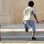 بعد فاجعة طنجة..مطالب برلمانية بتفعيل صارم لقانون حظر الكلاب الخطيرة