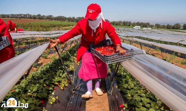 وفاة عاملة مغربية بحقول “ويلبا” الإسبانية يُفجّر غضب النقابيين ويُعيد ملف “عاملات الفراولة” للواجهة