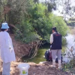 الصويرة تشدد حربها على البعوض..تدخلات ميدانية بالحزام الأخضر لمحاصرة بؤر التكاثر