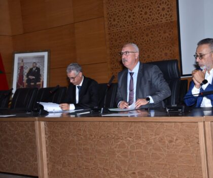 عامل الإقليم يتابع تقدم إنجاز مشاريع ذات أثر مباشر على تنمية تيزنيت