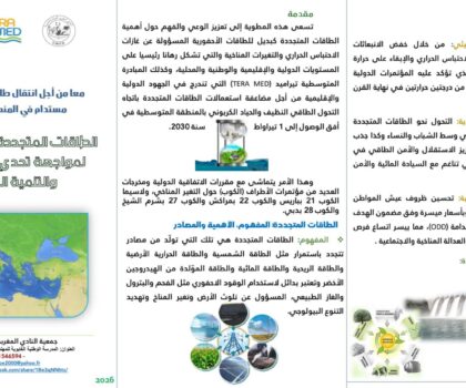 الطاقات المتجددة ومبادرة تيراميد..رهان متوسطي لبناء مستقبل طاقي مستدام