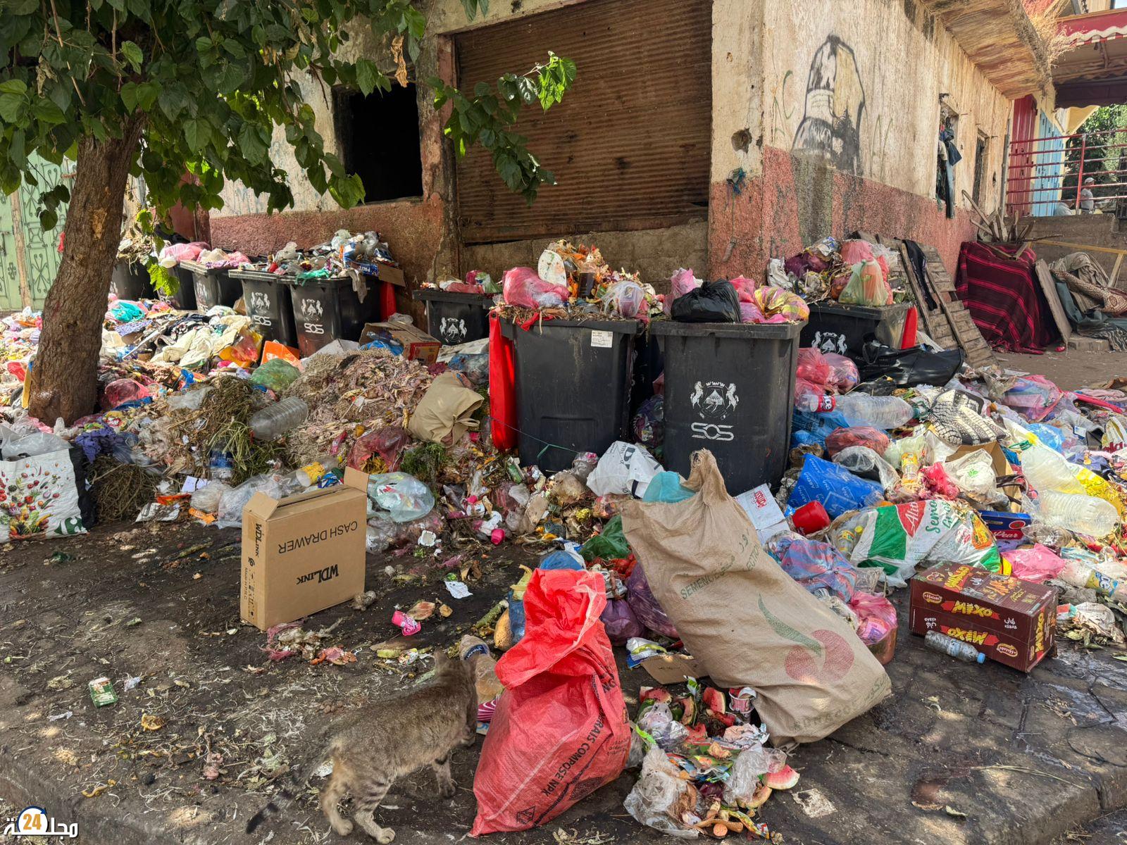 أصابع اتهام تشير أن جماعة سطات  هي السبب في إغراق المدينة بالأزبال