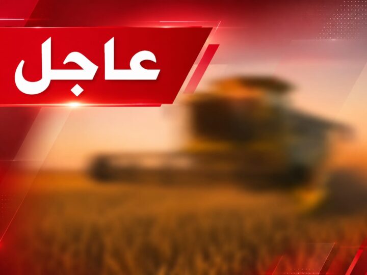 🚨 عاجل بومية اقليم ميدلت| العثور على رف—ات بشرية أثناء أشغال الحصاد بضواحي بومية