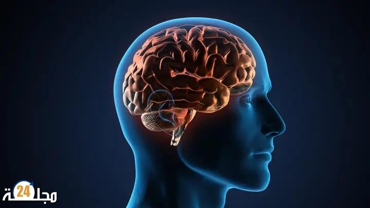 دور النظام الغذائي الصحي في تعزيز صحة الدماغ والوقاية من الاكتئاب