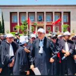 بعد نشر قانون المحاماة! أين أخطأنا؟ شيدنا قصرا دون تصميم لمدخل الخروج منه و َسُجِنَ الجميع داخله
