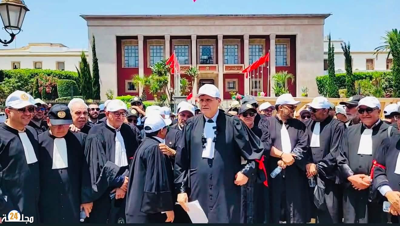 بعد نشر قانون المحاماة! أين أخطأنا؟ شيدنا قصرا دون تصميم لمدخل الخروج منه و َسُجِنَ الجميع داخله