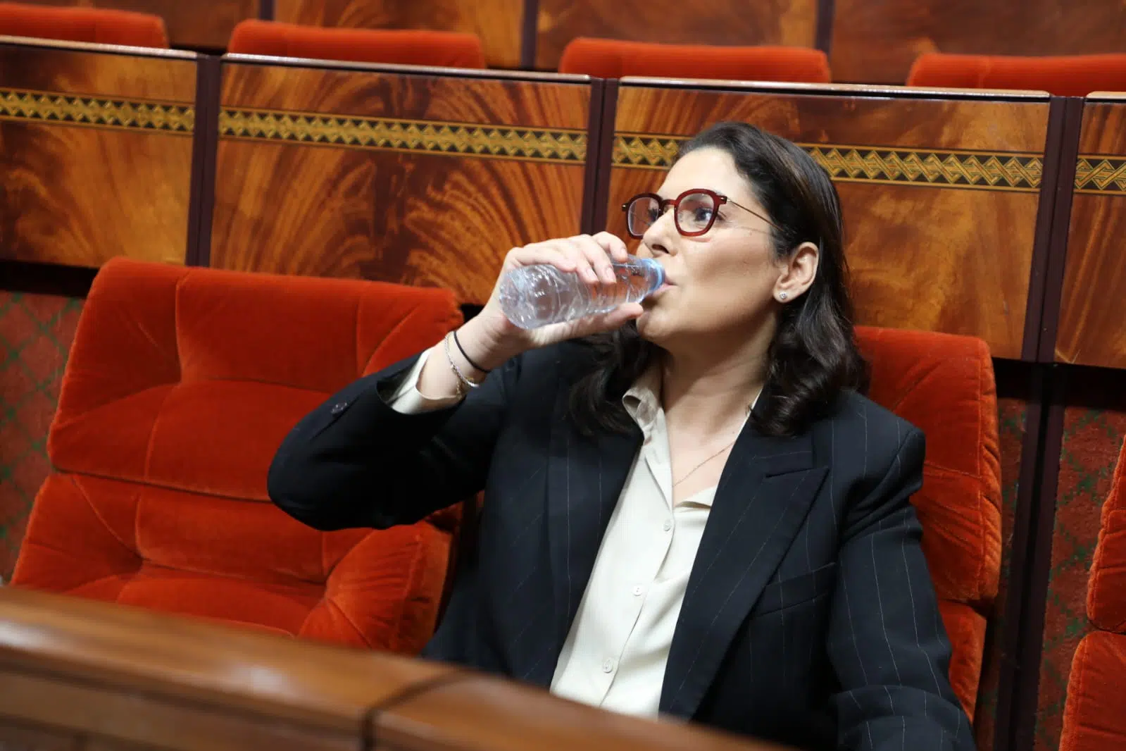 المنصوري تكشف كواليس التحاق لقجع بـ البام وتؤكد جاهزيتها لقيادة الحكومة المقبلة