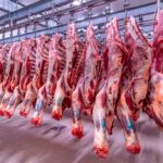 أسعار لحوم الأغنام تلهب جيوب المغاربة وتلامس 180 درهما للكيلوغرام