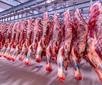 أسعار لحوم الأغنام تلهب جيوب المغاربة وتلامس 180 درهما للكيلوغرام