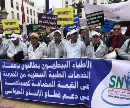 أزمة أتعاب التلقيح تحتدم.. بياطرة القطاع الخاص يهاجمون أونسا ويلوحون بالتصعيد لحماية مستحقاتهم