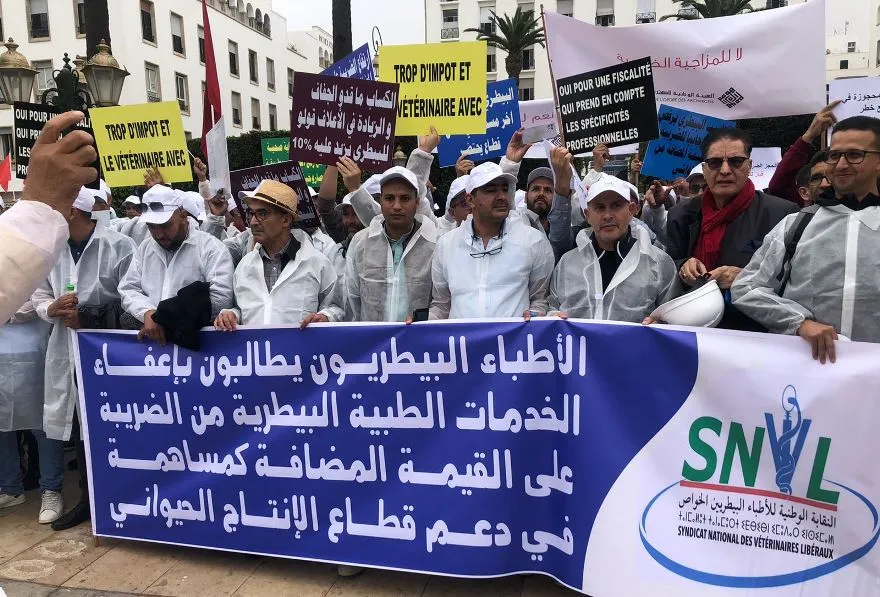 أزمة أتعاب التلقيح تحتدم.. بياطرة القطاع الخاص يهاجمون أونسا ويلوحون بالتصعيد لحماية مستحقاتهم