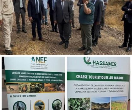 انطلاق موسم القنص الجديد بالمغرب وتعزيز جهود حماية الثروة الحيوانية البرية